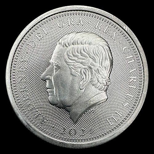 ALDERNEY - 1 POUND, 2024 - 80 YEARS OF THE D-DAY - CHARLES III - TUBO DE 20 ONZAS DE PLATA PURA